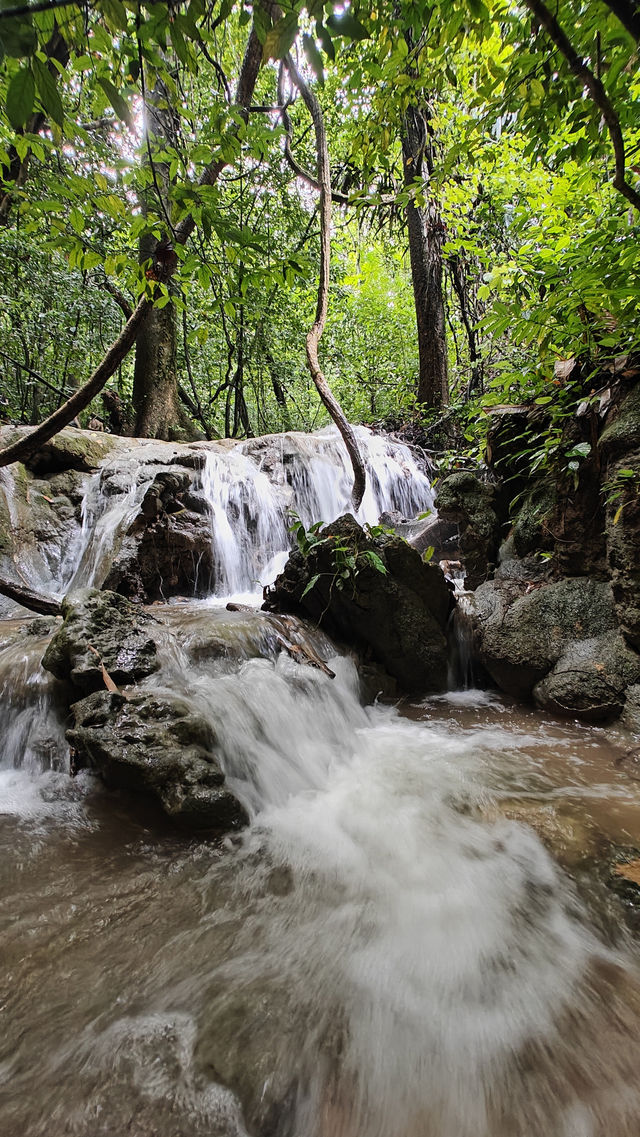 Jungle Trekking in Khao Sok – Guided or Solo? Here’s What You Need to Know 🥾🌴