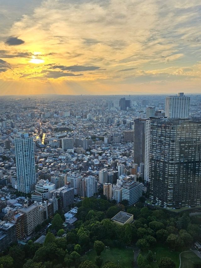 ✨ Best Spots for Tokyo Skyline Views: Free and Paid Options