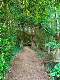 🌿 Rousham Gardens – England’s Timeless Landscape Escape