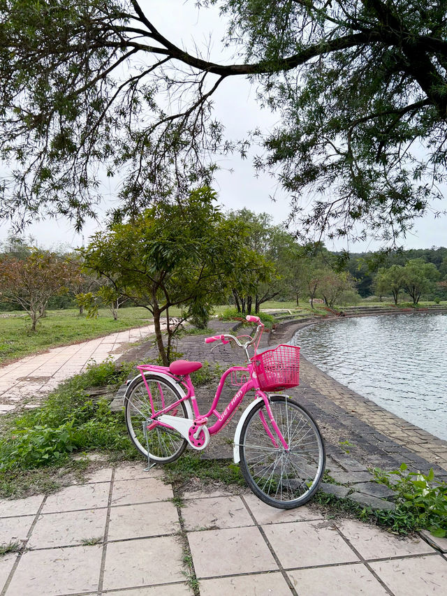 Abandoned park in the international woman’s day?! Easy 🥰