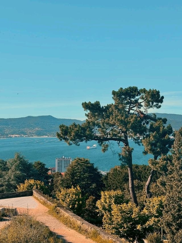 ⚓ Where the City Faces the Sea – Vigo, Galicia, Spain