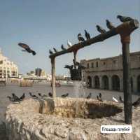 Souq Waqif -магия востока