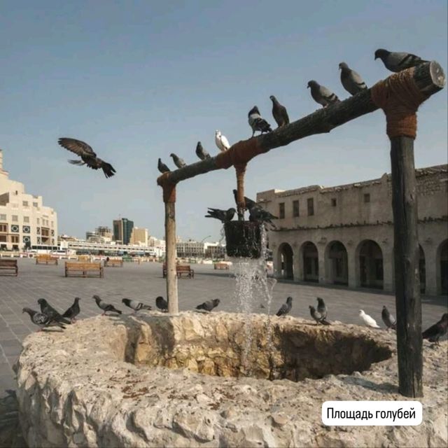 Souq Waqif -магия востока