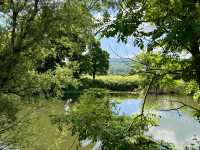 Blueway from Every Angle 