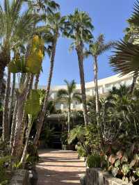 🌴 Maspalomas Princess Hotel Review