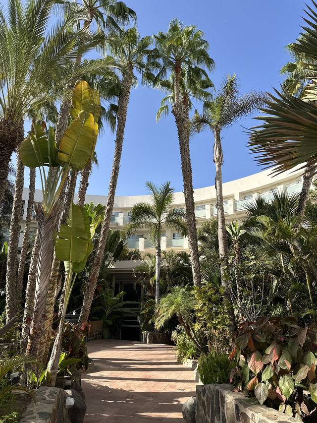 🌴 Maspalomas Princess Hotel Review