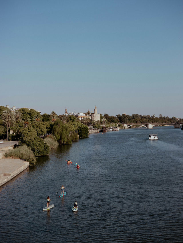 루크소르 신전의 야경, 시간이 멈춘 숲 🌙🔥