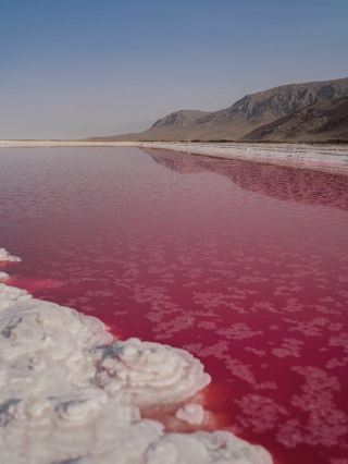 一座擁有粉紅色湖泊🩷🩷🩷和粉紅色清真寺的城市。