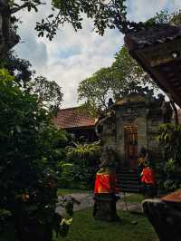 🌿Only Have 1 Day in Ubud? Do This