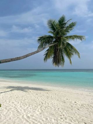 🇲🇻 馬爾地夫省錢攻略：2026年如何用每天60美元玩天堂🏝️💸