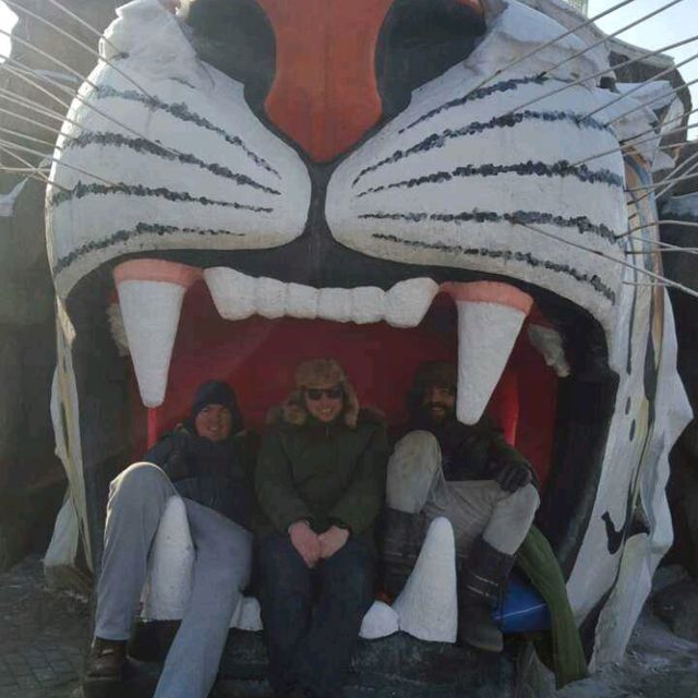 Siberian Tiger Park in Harbin 🇨🇳
