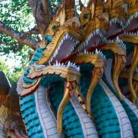 Xishuangbanna  - Where South Asia Meets China