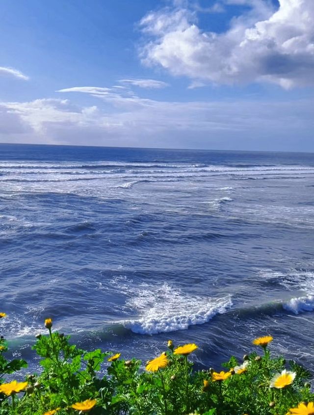 Hiking route, walking along the cliff flower sea may bring you peace...