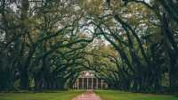 Travel Memories | Chance Encounter at the Oak Alley Plantation in New Orleans