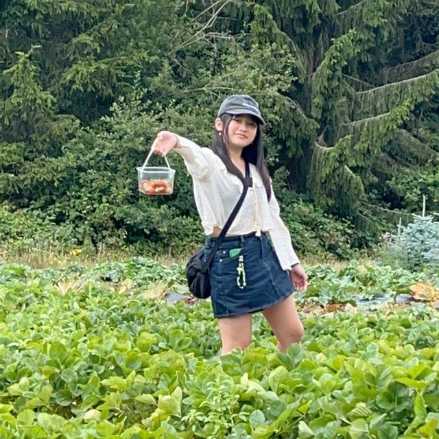Harvesting Happiness: Fruits and Vegetables 