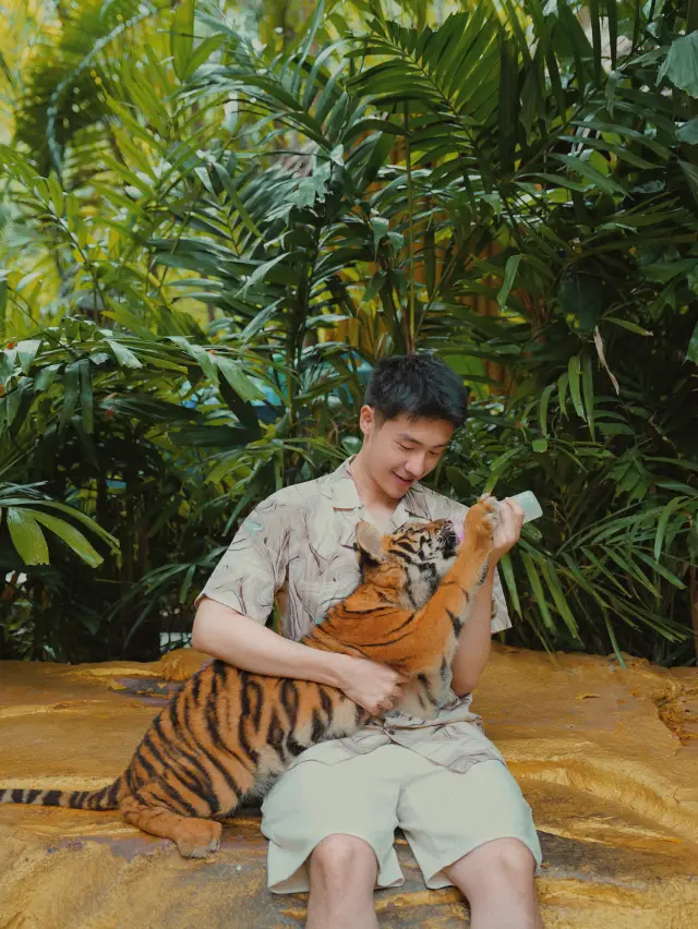 방콕 야생동물 세계 | 동물과 가까이에서 상호 작용합니다
