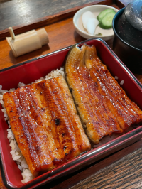 Tenzan Onsen's Forest Retreat