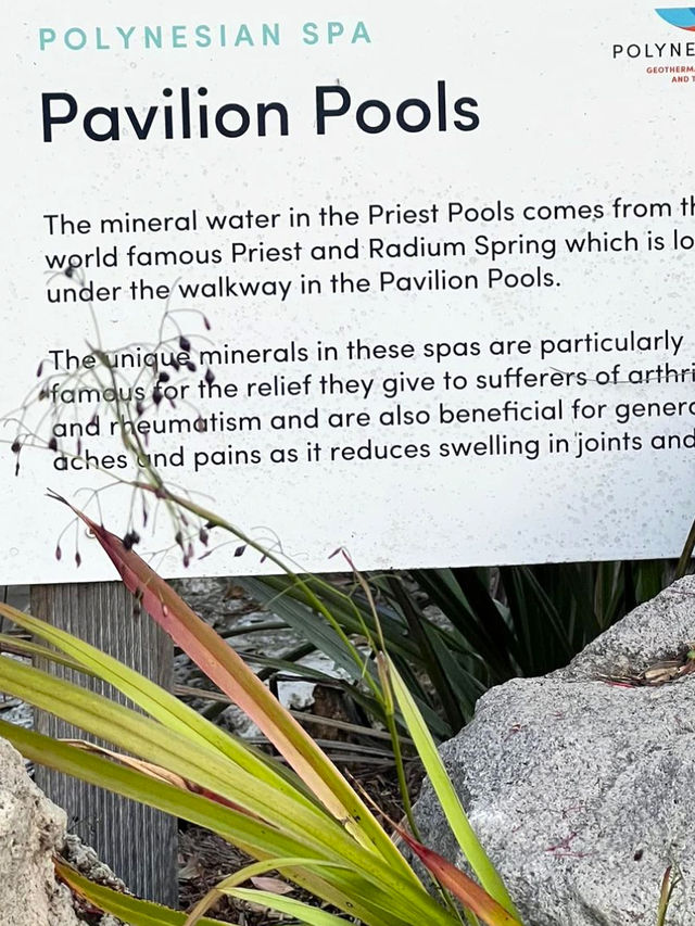 Taupo Rotorua | 波利尼西亞溫泉