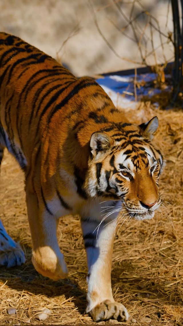 北京動物園