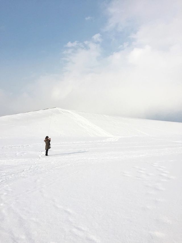 北海道｜日本冬季踏雪 尋找札幌小眾拍照點|||❄️⛄️❄️☃️❄️⛄️❄️