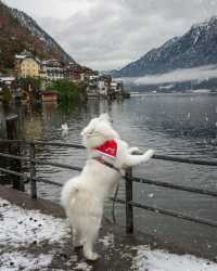 Hallstatt Chronicles: A Picture-Perfect Weekend Getaway 🏞️🇦🇹