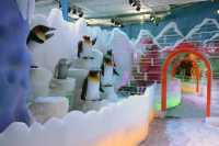 深圳人有自己的“爾濱”！｜深圳野生動物園裡的冰雪世界!