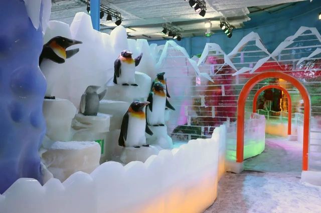 深圳人有自己的“爾濱”！｜深圳野生動物園裡的冰雪世界!