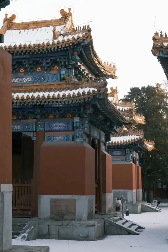 베이징 훙텅의 눈景경|경미가 가득한 아름다운 City Walk