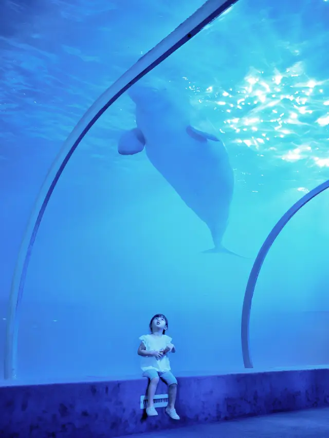 National Day Guangzhou tour with kids, you can't miss this aquarium!