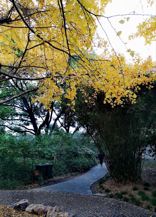 古漪園 -上海五大古典園林之一