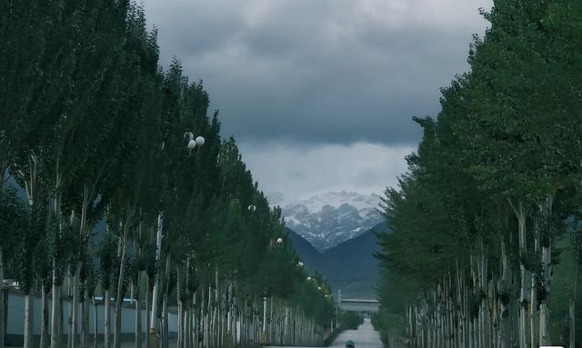 青海 德令哈之驚喜--柏樹山