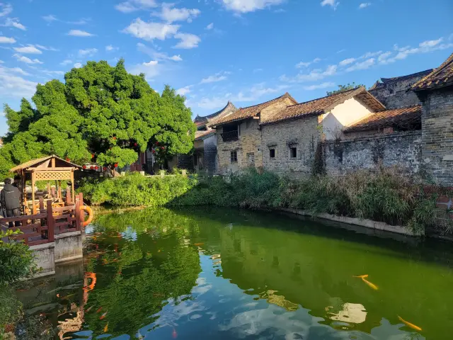 Dongguan Nanshe Ancient Village - A Lingnan ancient village with many ancestral halls