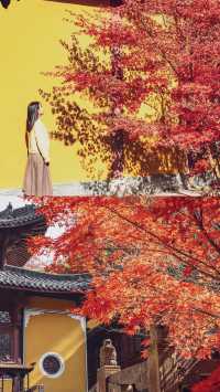 最美古鎮—真後悔才來