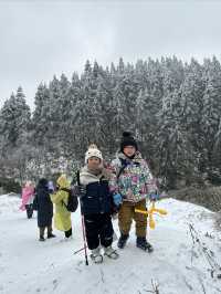 無需遠赴南方小土豆勇闖南國雪鄉攻略