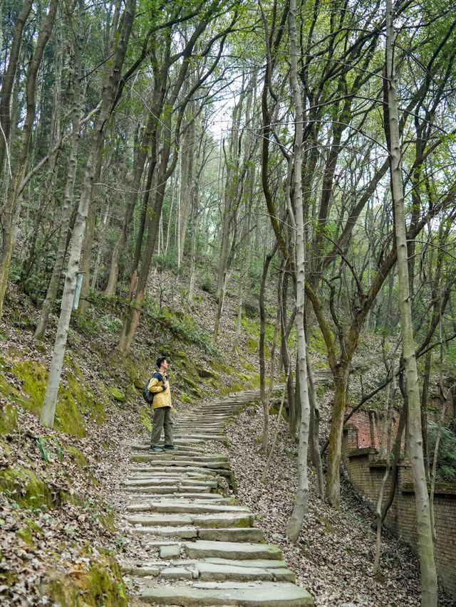 新年上山祈福去丨一條被忽略的治癒徒步古道