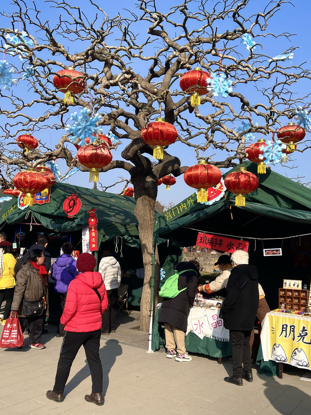 紅紅火火 春色啟龍年 景山公園 北京