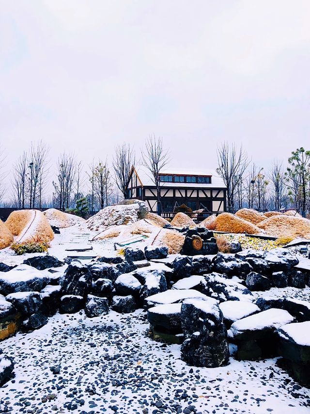 輕輕鬆鬆走斷腿：合肥園博園雪景