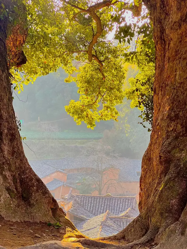 In Lishui Songyang | The ancient village hidden in the mountains - Yangjiatang Village