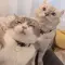 Cook_Barbara_21