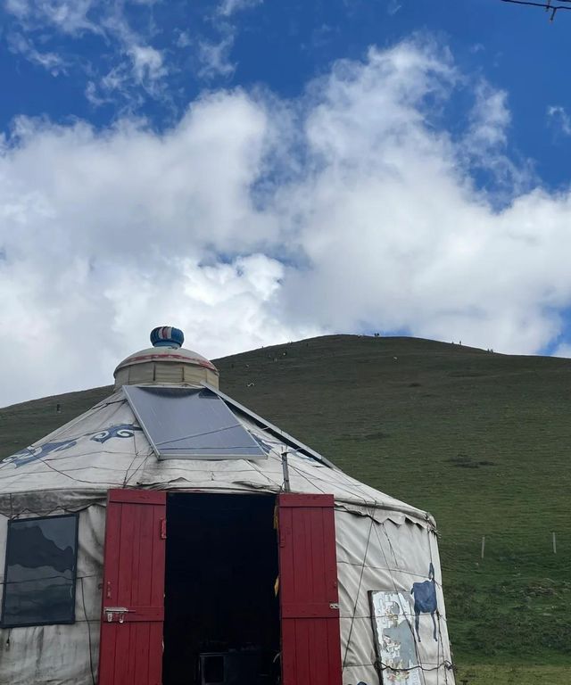 大海草山｜遇見山海