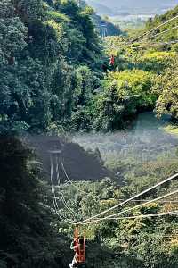 來佛山財神廟迎財神咯