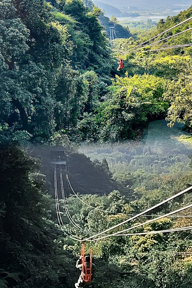 來佛山財神廟迎財神咯