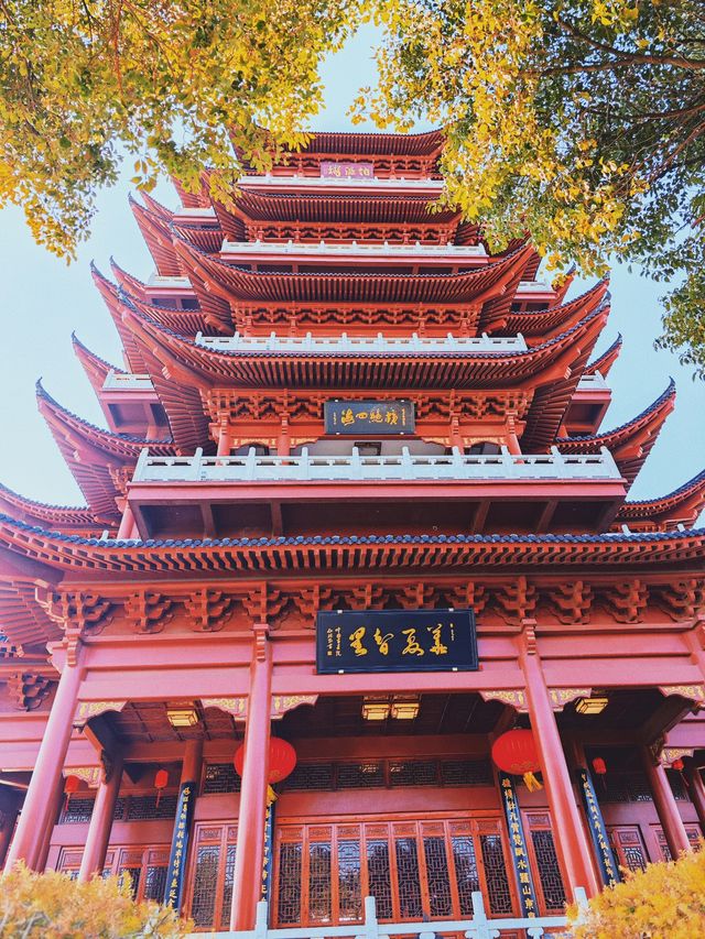 溫州版「黃鶴樓」…不是武漢去不起，而且溫州更有性價比