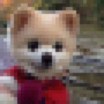 Delightful Ethan~Foster42