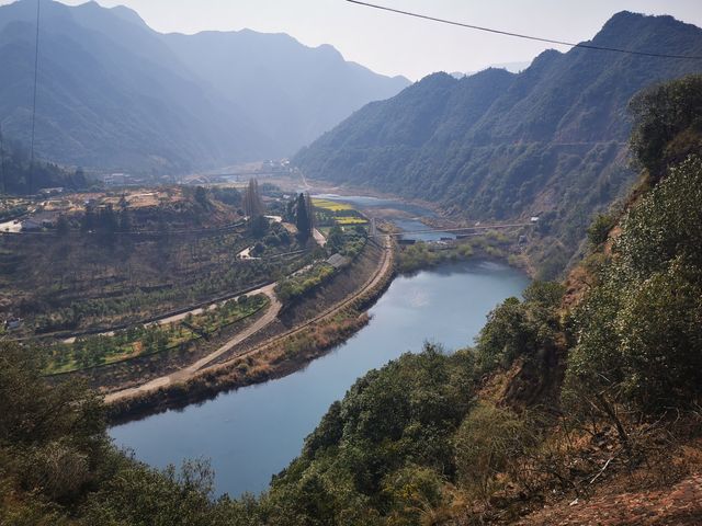 帶著狗狗去旅行，跑衢州一號天路