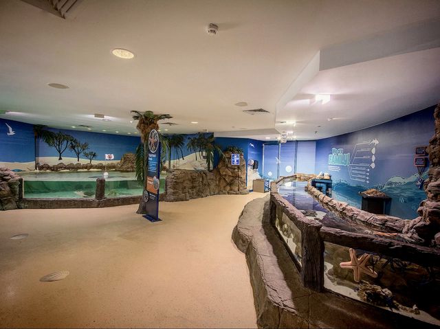 陽光海岸水族館 | 開啟奇妙的海底之旅