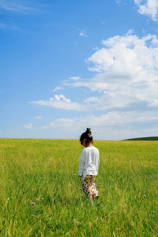 呼倫貝爾大草原旅遊攻略~~