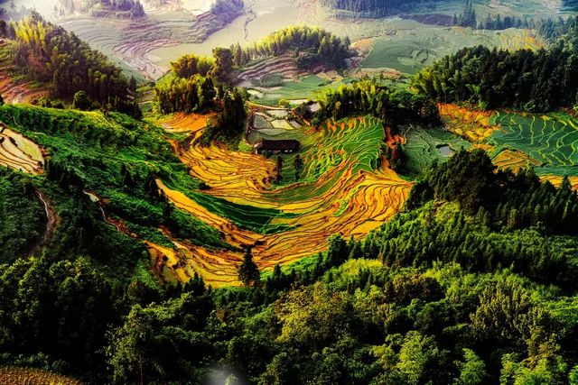 湖南紫鹊界梯田