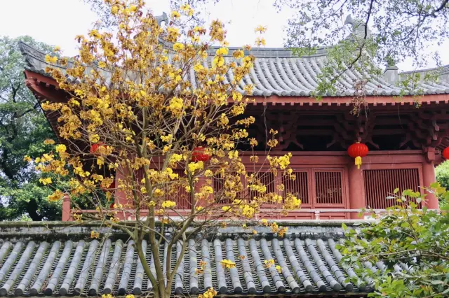 Guangxiao Temple, a historic temple with a history of 1700 years, is located in Guangzhou