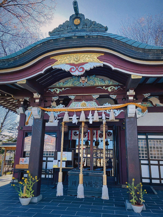 春遊日本｜看花賞景遊古蹟，探訪川越八幡宮